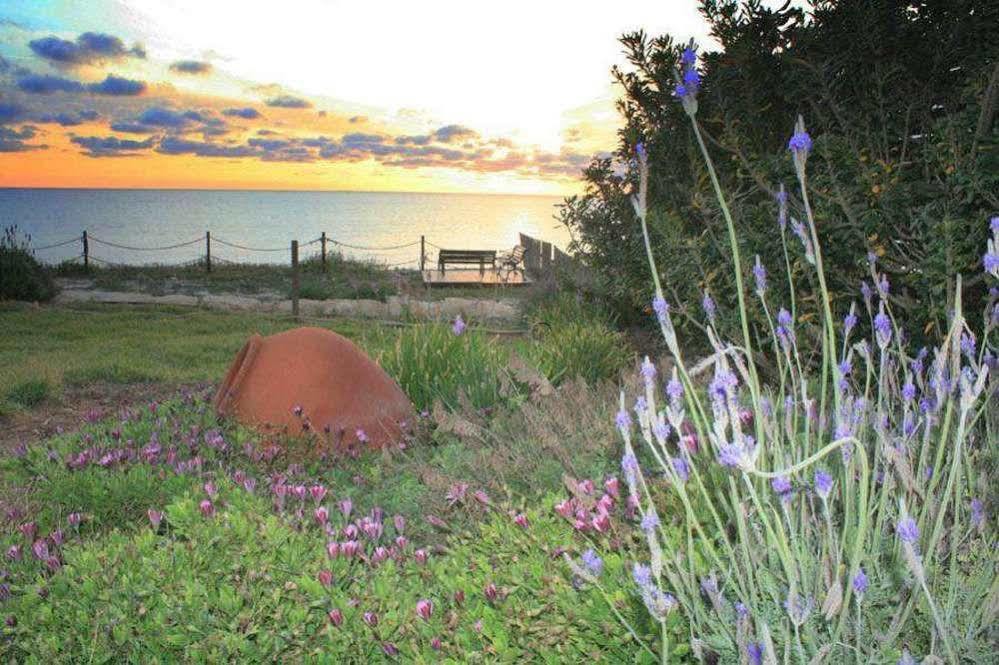 Blue Coral Beach Villas Пафос Екстериор снимка